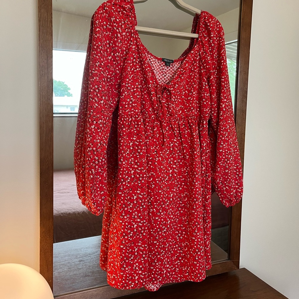 Wild fable red dress